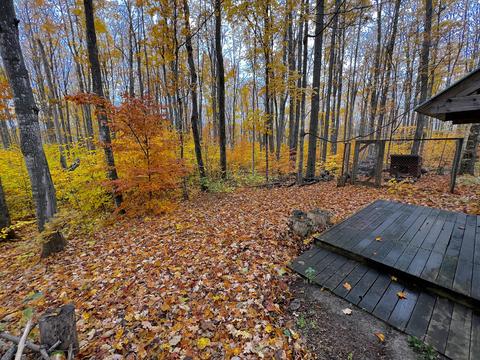 11428 Wilderness Trl, Vanderbilt, MI 49795 photo 34