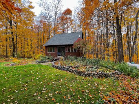 11428 Wilderness Trl, Vanderbilt, MI 49795 photo 3