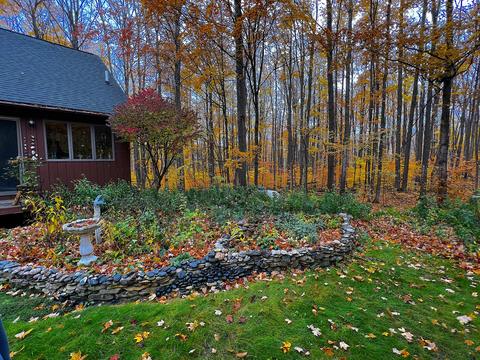 11428 Wilderness Trl, Vanderbilt, MI 49795 photo 4