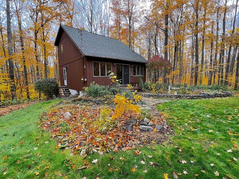 11428 Wilderness Trl, Vanderbilt, MI 49795 photo 1