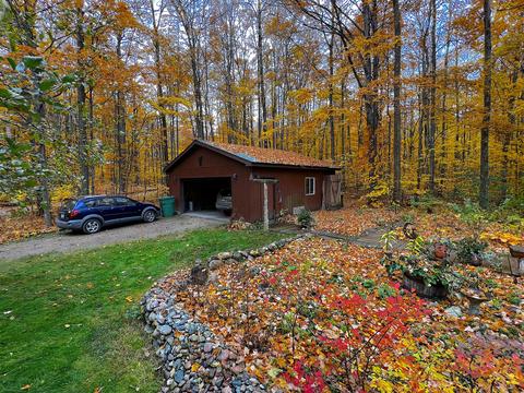 11428 Wilderness Trl, Vanderbilt, MI 49795 photo 2