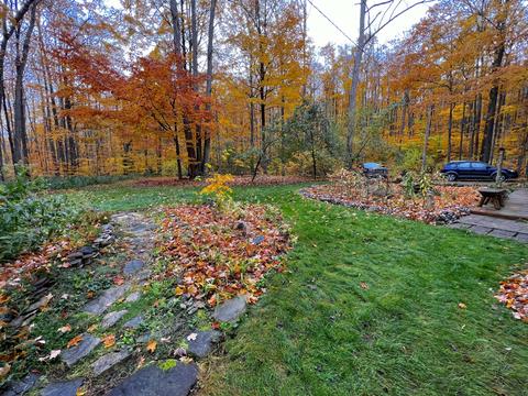 11428 Wilderness Trl, Vanderbilt, MI 49795 photo 29
