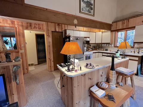 11428 Wilderness Trl, Vanderbilt, MI 49795 photo 8