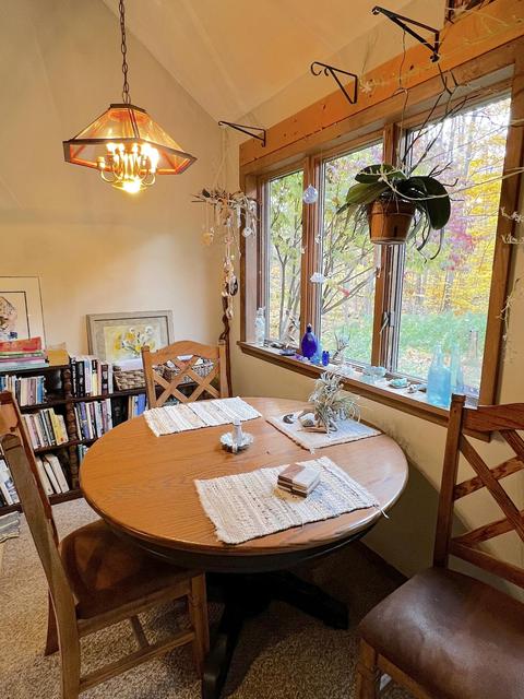 11428 Wilderness Trl, Vanderbilt, MI 49795 photo 22
