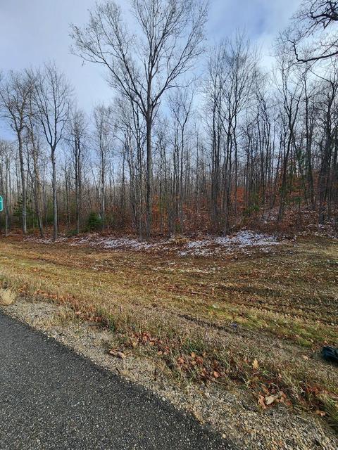 59 Marlette Road #59 ACRES, Frederic, MI 49733 photo 8
