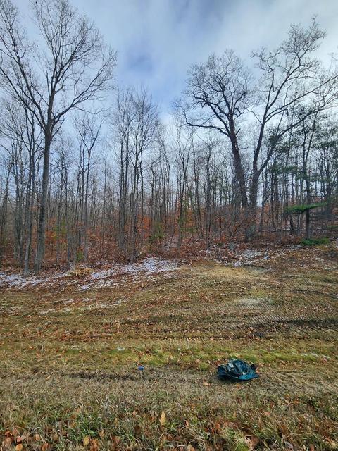 59 Marlette Road #59 ACRES, Frederic, MI 49733 photo 5