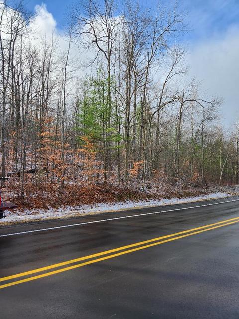 59 Marlette Road #59 ACRES, Frederic, MI 49733 photo 16