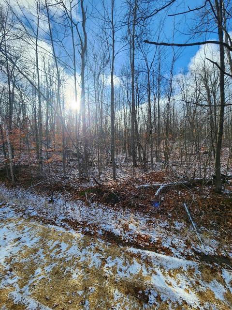 59 Marlette Road #59 ACRES, Frederic, MI 49733 photo 11