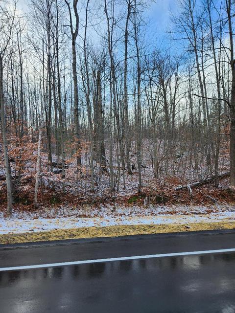 59 Marlette Road #59 ACRES, Frederic, MI 49733 photo 18