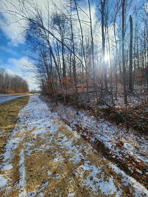 59 Marlette Road #59 ACRES, Frederic, MI 49733 photo 12