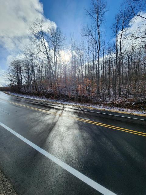 59 Marlette Road #59 ACRES, Frederic, MI 49733 photo 10