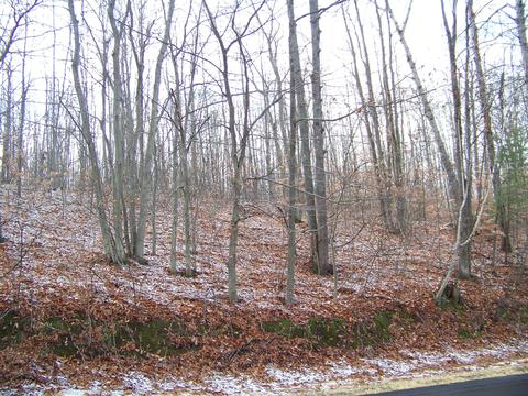 59 Marlette Road #59 ACRES, Frederic, MI 49733 photo 22