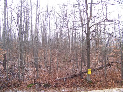 59 Marlette Road #59 ACRES, Frederic, MI 49733 photo 21