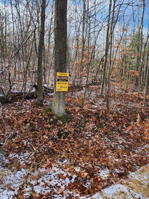 59 Marlette Road #59 ACRES, Frederic, MI 49733 photo 15