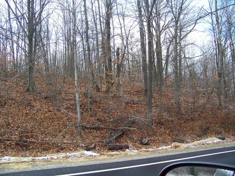59 Marlette Road #59 ACRES, Frederic, MI 49733 photo 24