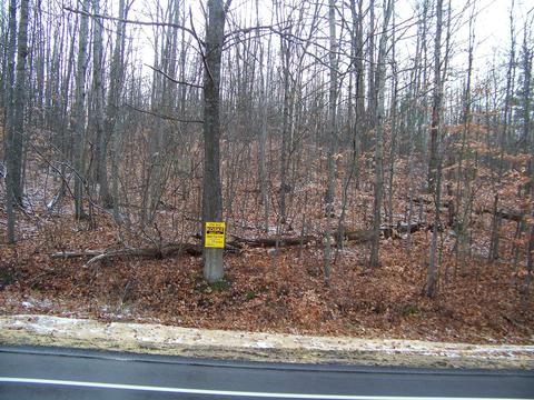 59 Marlette Road #59 ACRES, Frederic, MI 49733 photo 20