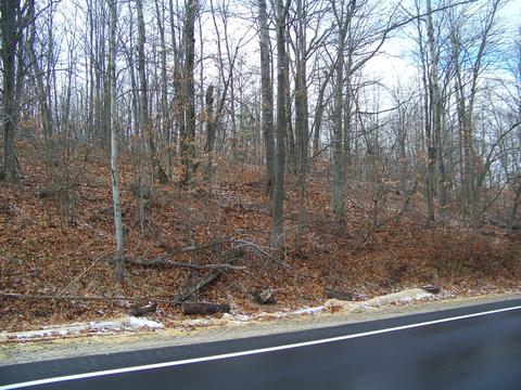 59 Marlette Road #59 ACRES, Frederic, MI 49733 photo 23