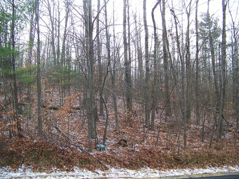 59 Marlette Road #59 ACRES, Frederic, MI 49733 photo 19