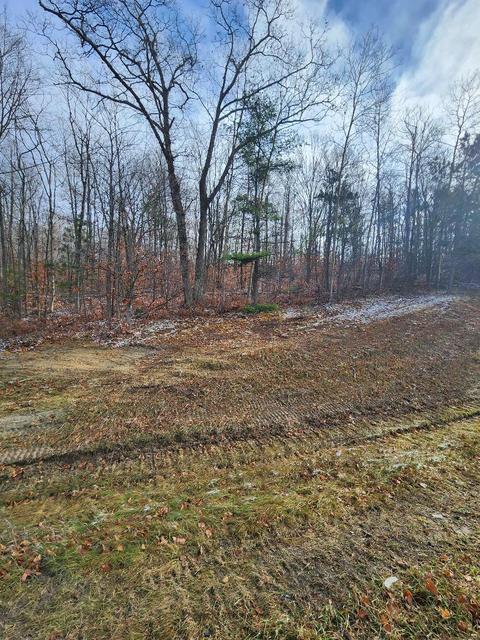 59 Marlette Road #59 ACRES, Frederic, MI 49733 photo 7