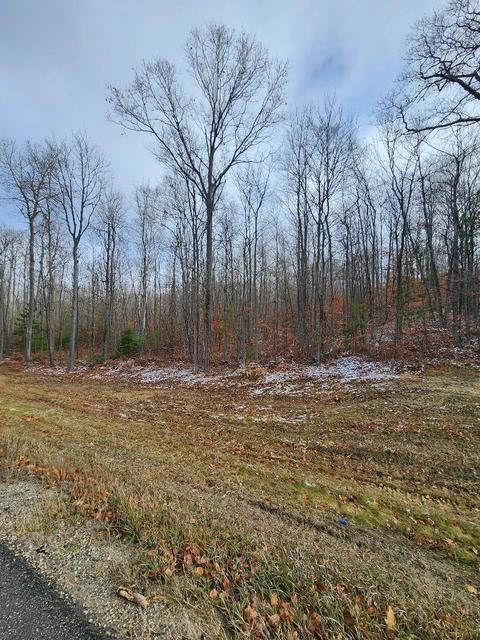 59 Marlette Road #59 ACRES, Frederic, MI 49733 photo 4