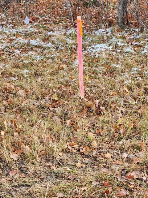 59 Marlette Road #59 ACRES, Frederic, MI 49733 photo 9