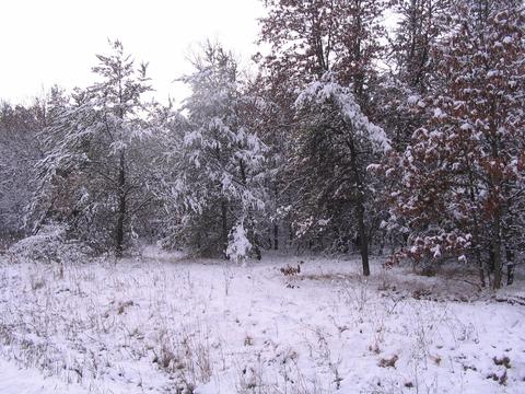 Parcel B North Down River Road, Grayling, MI 49738 photo 5