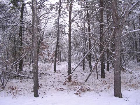 Parcel B North Down River Road, Grayling, MI 49738 photo 3