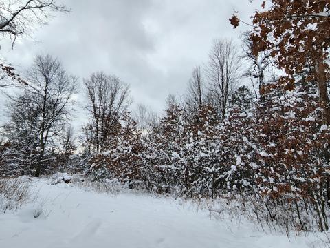 2350 E Cherry Creek Road Fairview Mi 48621 Rd, Fairview, MI 48621 photo 53