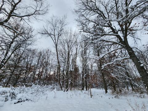 2350 E Cherry Creek Road Fairview Mi 48621 Rd, Fairview, MI 48621 photo 50