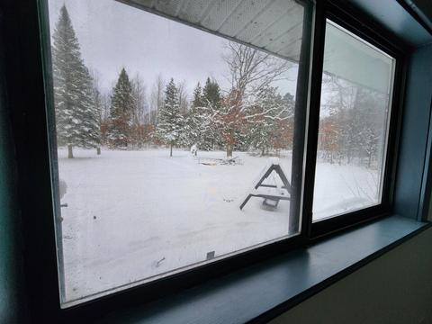 2350 E Cherry Creek Road Fairview Mi 48621 Rd, Fairview, MI 48621 photo 30