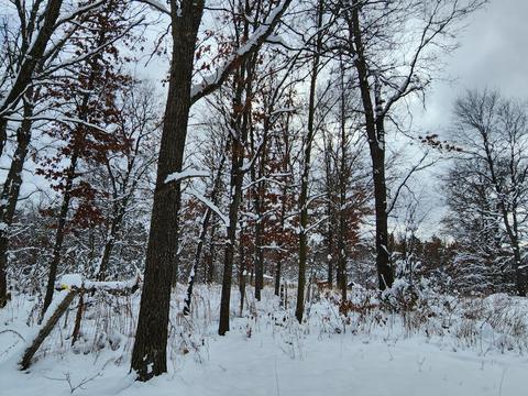 2350 E Cherry Creek Road Fairview Mi 48621 Rd, Fairview, MI 48621 photo 54