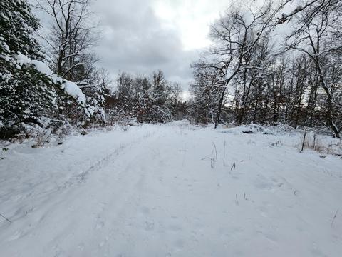 2350 E Cherry Creek Road Fairview Mi 48621 Rd, Fairview, MI 48621 photo 48
