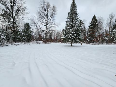 2350 E Cherry Creek Road Fairview Mi 48621 Rd, Fairview, MI 48621 photo 46