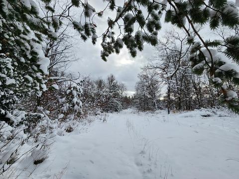 2350 E Cherry Creek Road Fairview Mi 48621 Rd, Fairview, MI 48621 photo 49