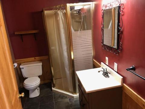 8602 W Cameron Bridge Road Frederic Mi 49733 Rd, Frederic, MI 49733 photo 17