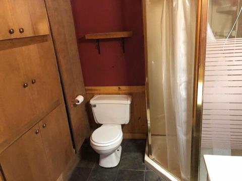 8602 W Cameron Bridge Road Frederic Mi 49733 Rd, Frederic, MI 49733 photo 14