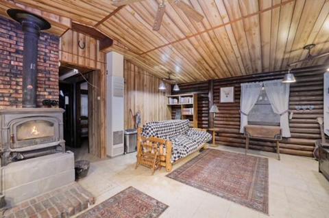 5161 E Perry Road Wolverine Mi 49799 Rd, Wolverine, MI 49799 photo 13
