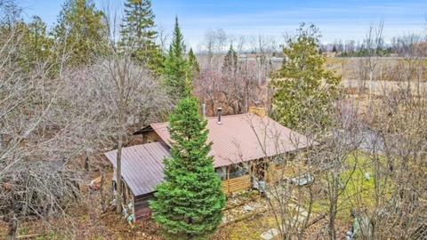 5161 E Perry Road Wolverine Mi 49799 Rd, Wolverine, MI 49799 photo 17