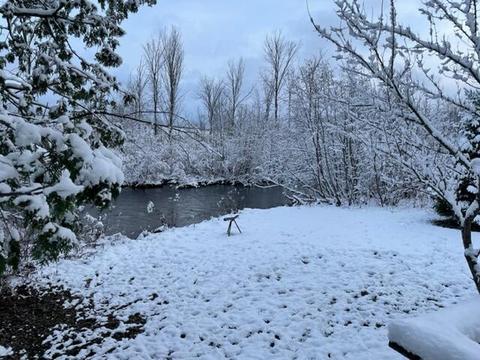 5161 E Perry Road Wolverine Mi 49799 Rd, Wolverine, MI 49799 photo 5