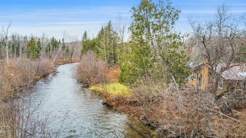 5161 E Perry Road Wolverine Mi 49799 Rd, Wolverine, MI 49799 photo 20