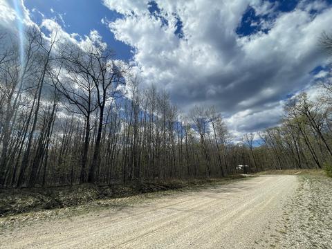 lot34 35 Miles Way Roscommon Mi 48653 Way, Roscommon, MI 48653