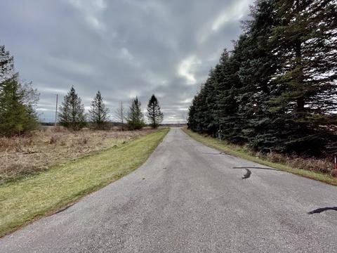 3685 E Quick Rd, Lincoln, MI 48742 photo 63