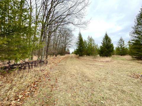 3685 E Quick Rd, Lincoln, MI 48742 photo 53