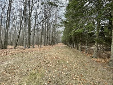 3685 E Quick Rd, Lincoln, MI 48742 photo 47