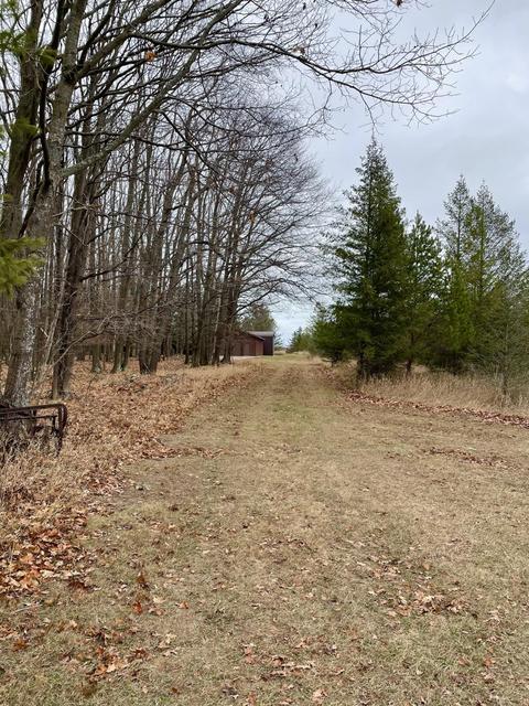 3685 E Quick Rd, Lincoln, MI 48742 photo 52