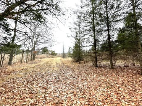 3685 E Quick Rd, Lincoln, MI 48742 photo 49