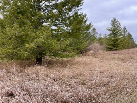 3685 E Quick Rd, Lincoln, MI 48742 photo 51