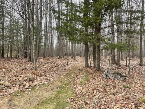 3685 E Quick Rd, Lincoln, MI 48742 photo 56
