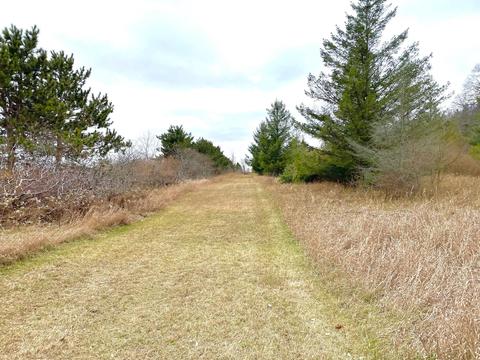 3685 E Quick Rd, Lincoln, MI 48742 photo 50