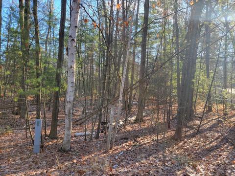 Northern Oaks Drive, Houghton Lake, MI 48629